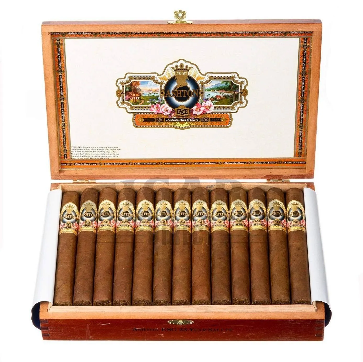 Ashton ESG 23 Yr. Salute Toro