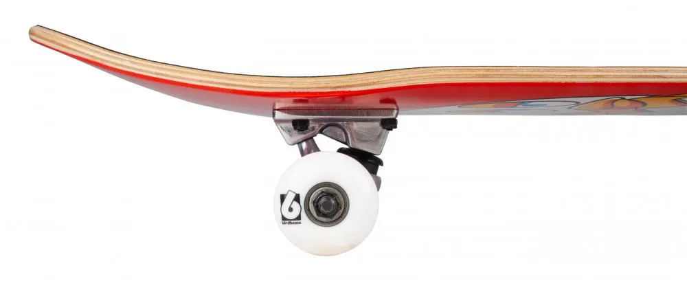 Birdhouse Complete Stage 1 Skateboard Chicken Mini