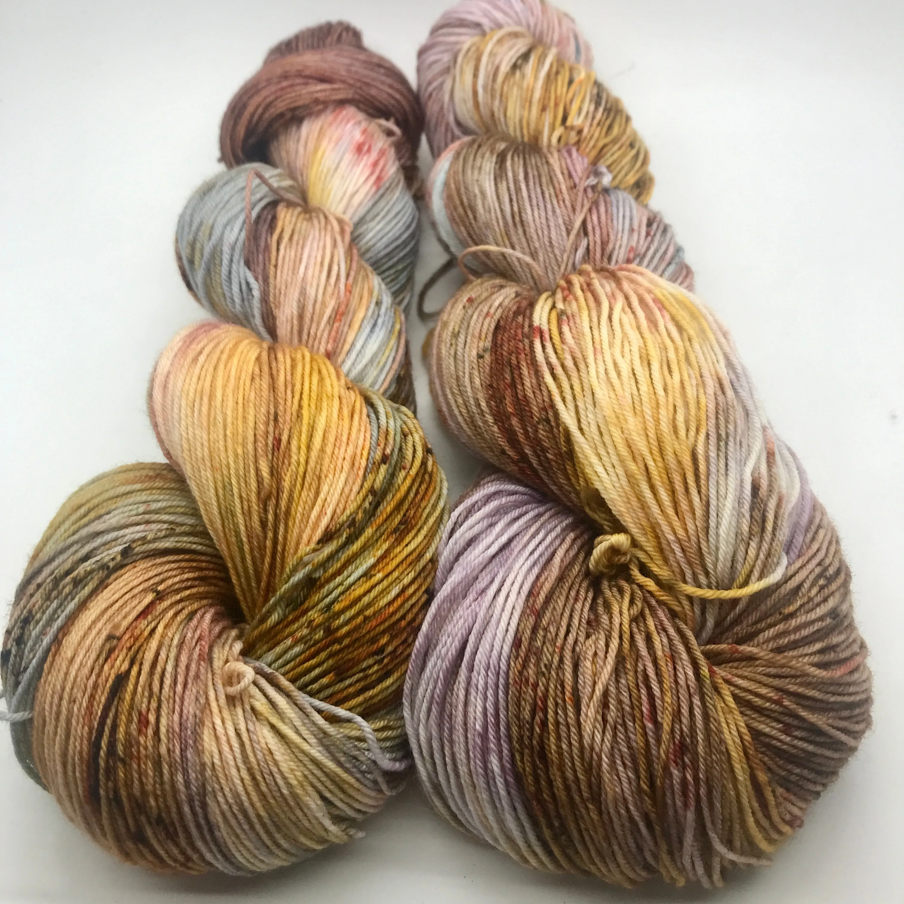 Wam & Cozy Colorway